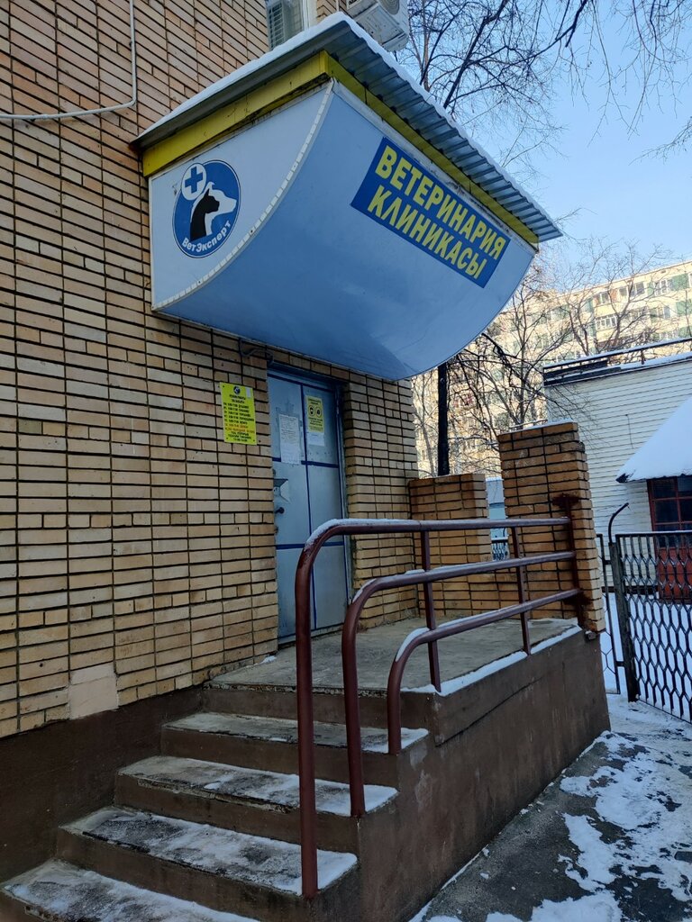 Veterinary clinic ВетЭксперт, Naberezhnye Chelny, photo