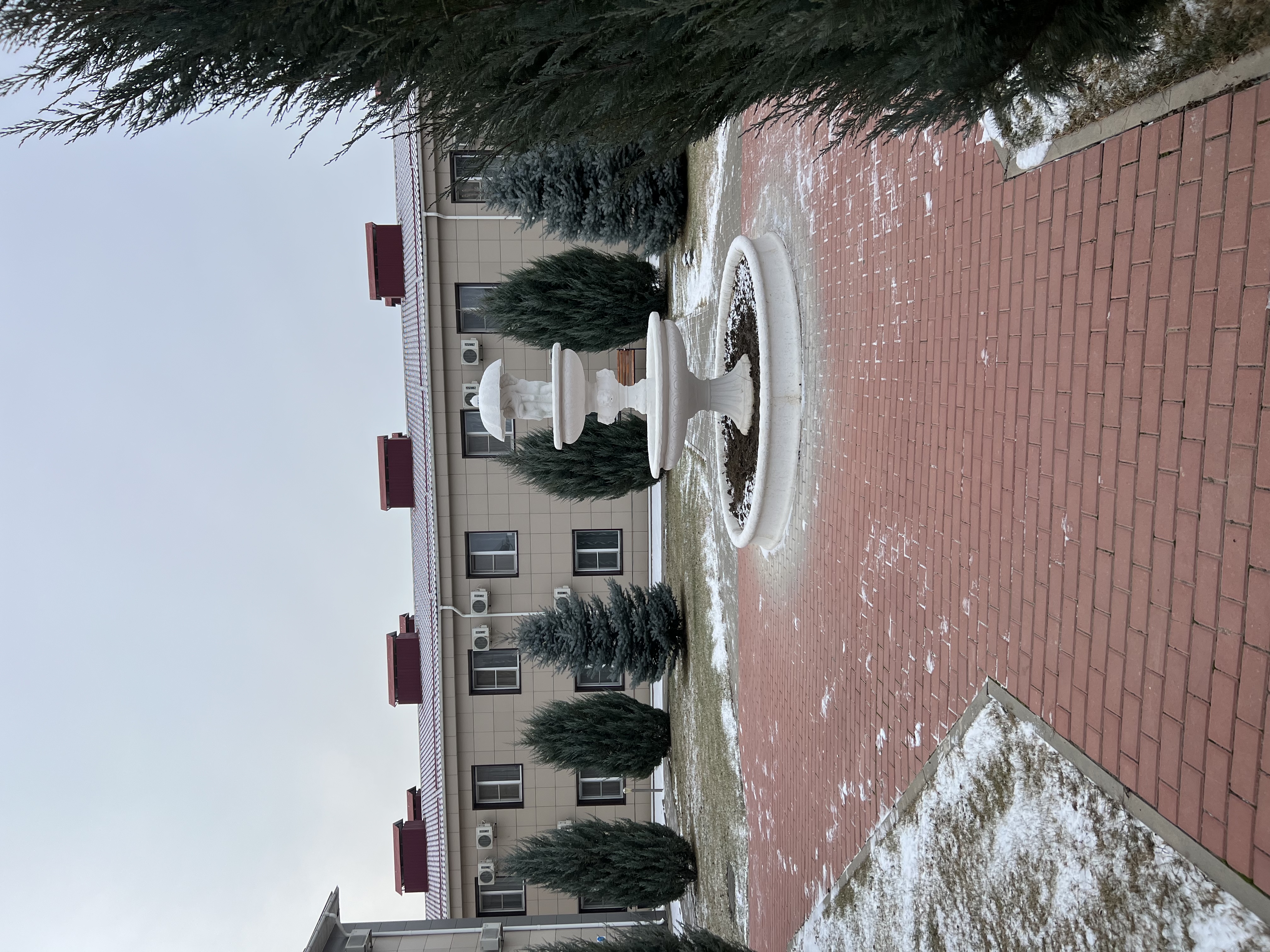 Фото Жемчужина