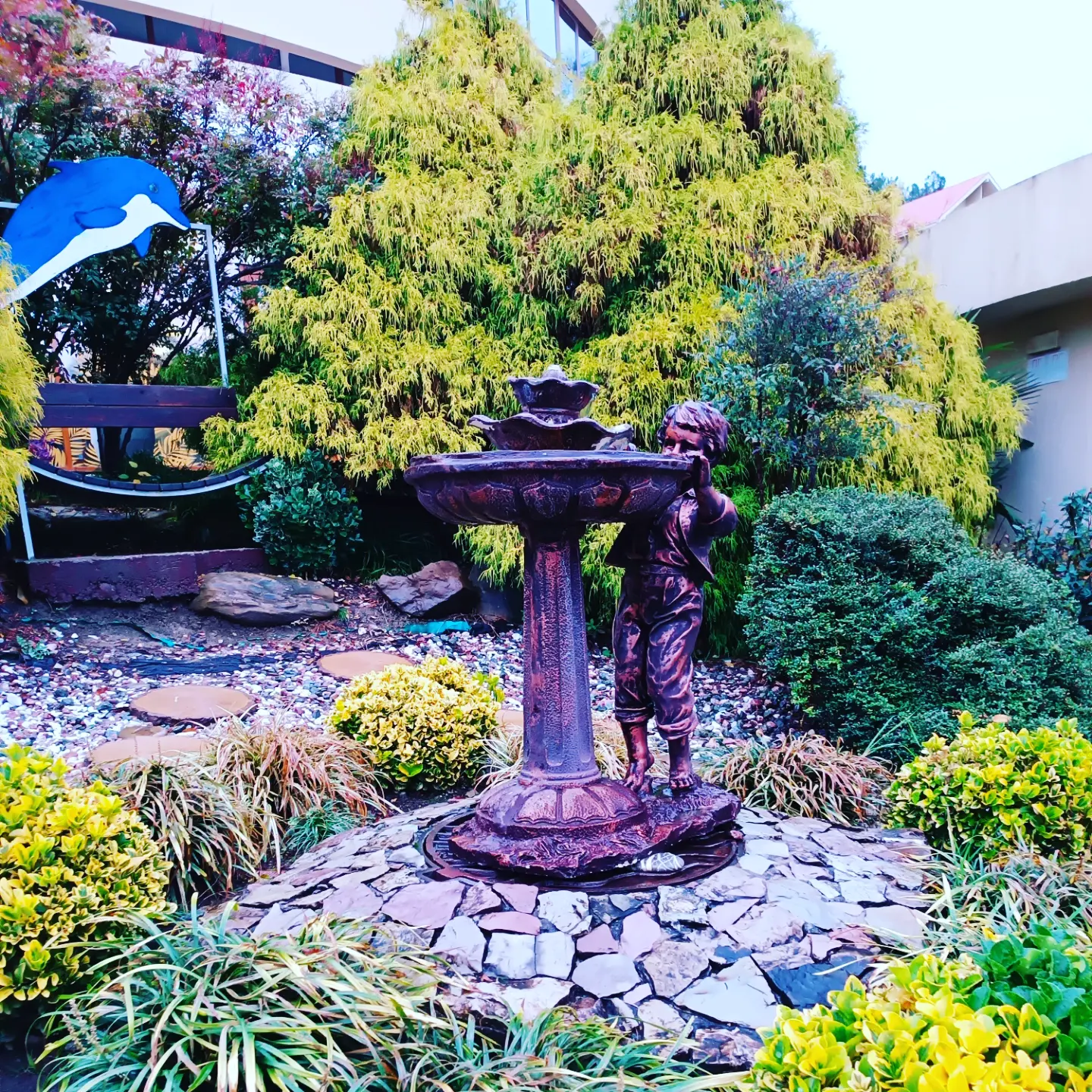 Фото Дивный