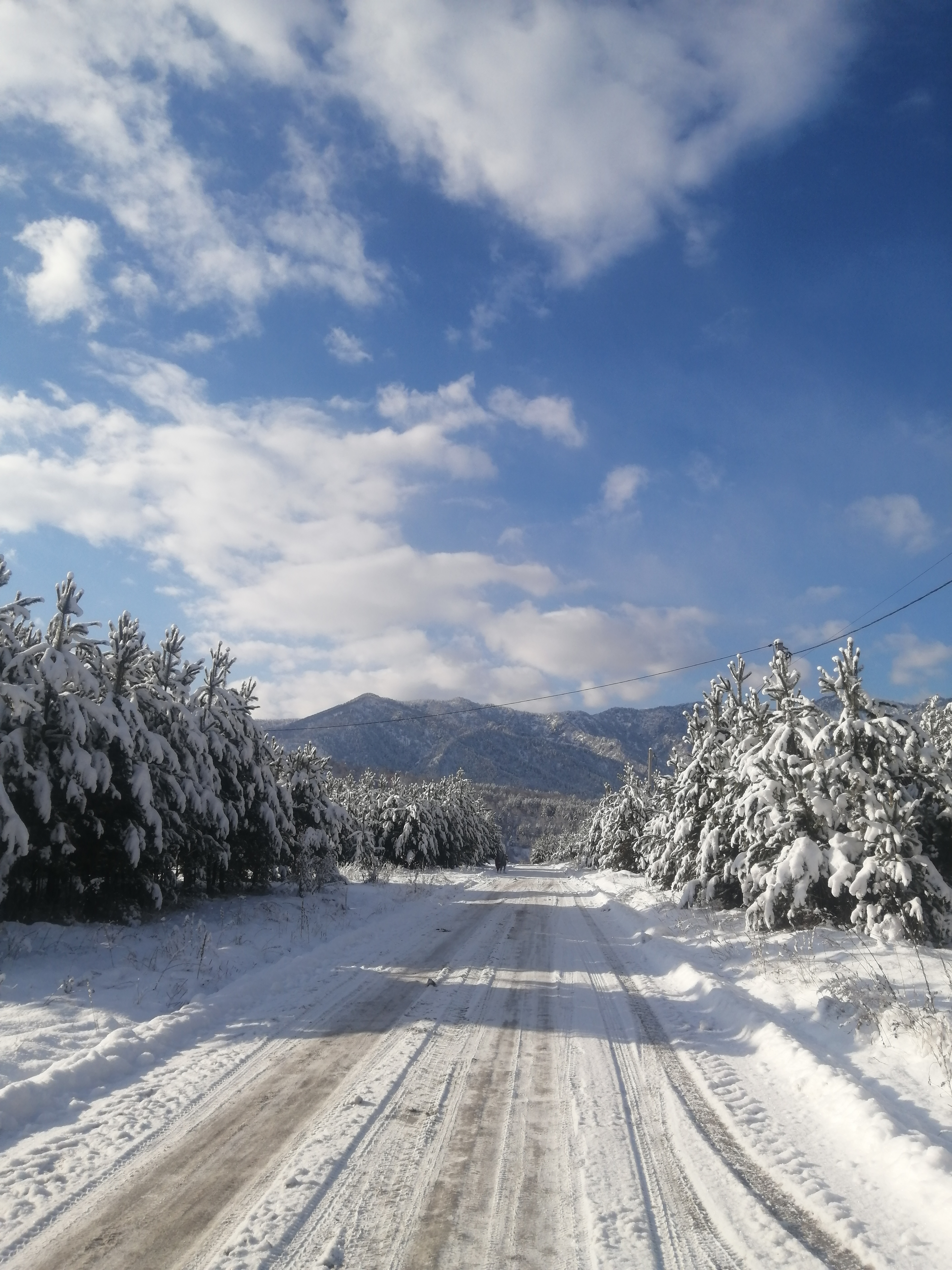 Фото Усадьба Чикмаревых