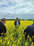 Agrohim-garant (Bulgakovo Village, ulitsa Svobody, 1), plant protection products