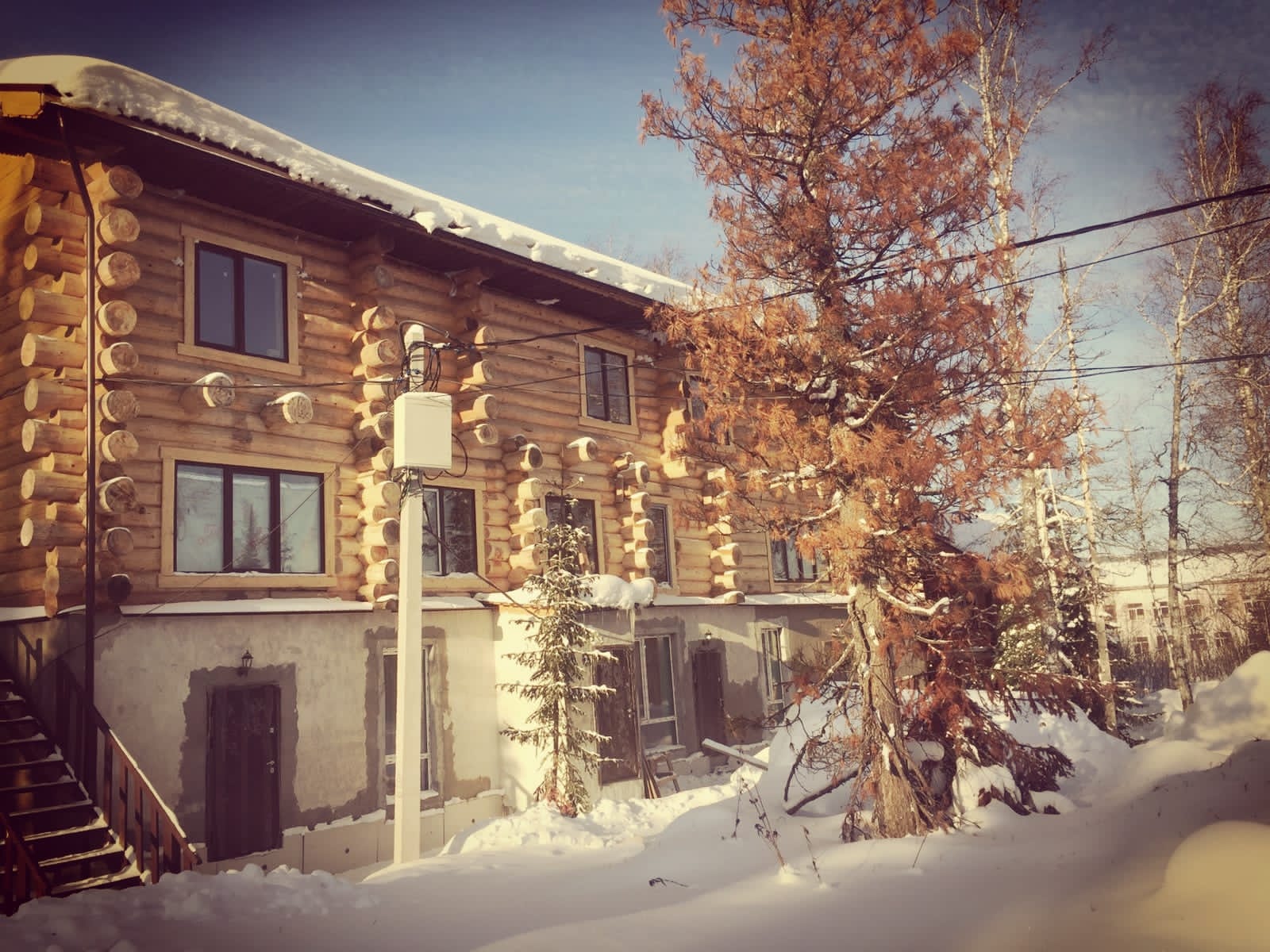 Фото Сила Сибири