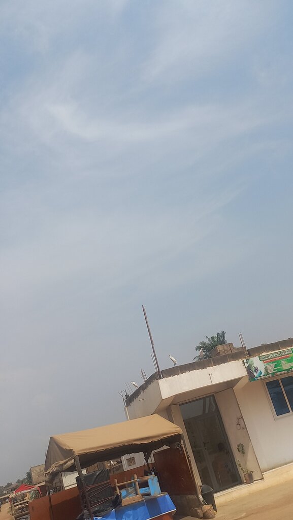 Medical center, clinic Odk herbal clinic, Accra, photo