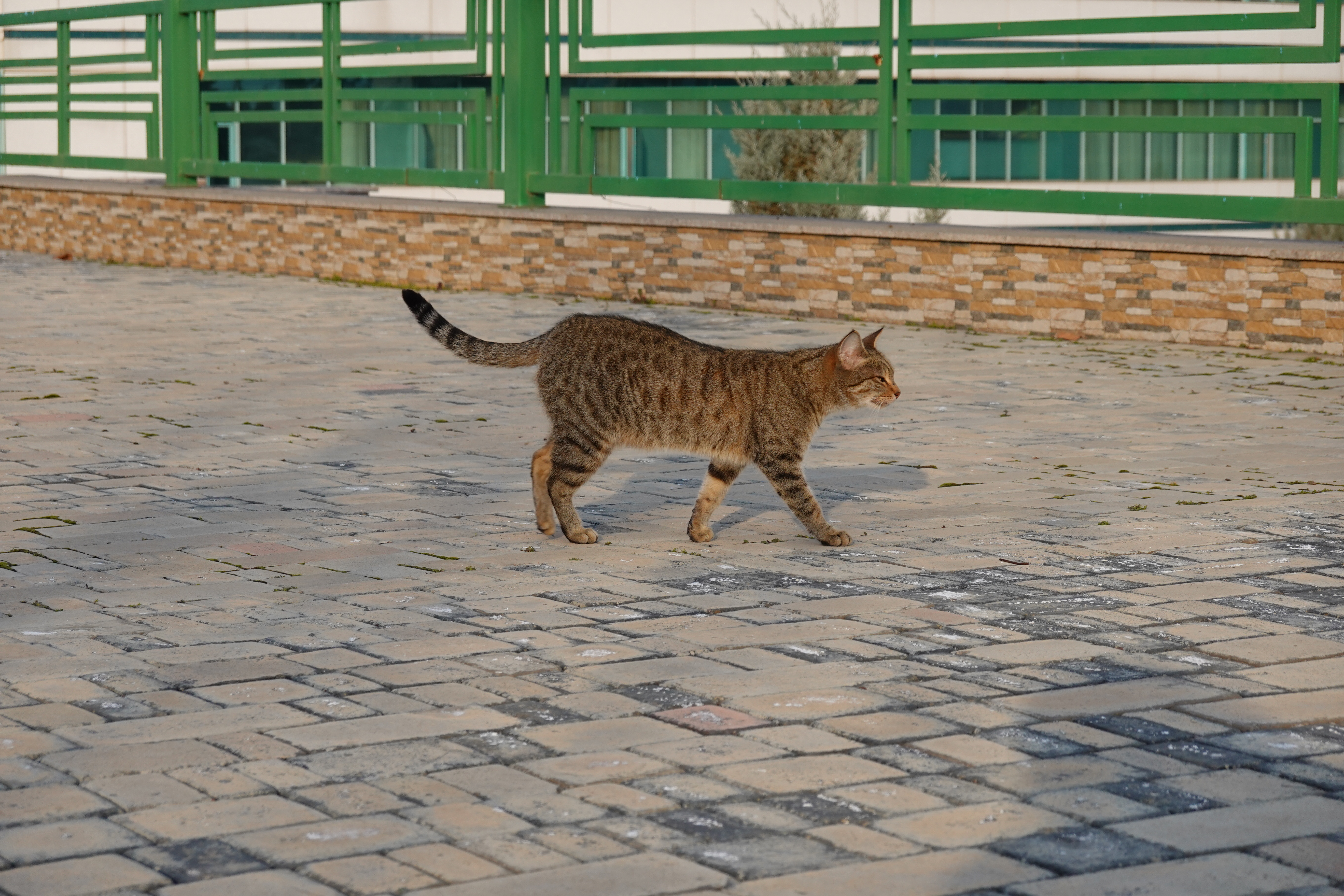 Фото Gashalti Health Hotel