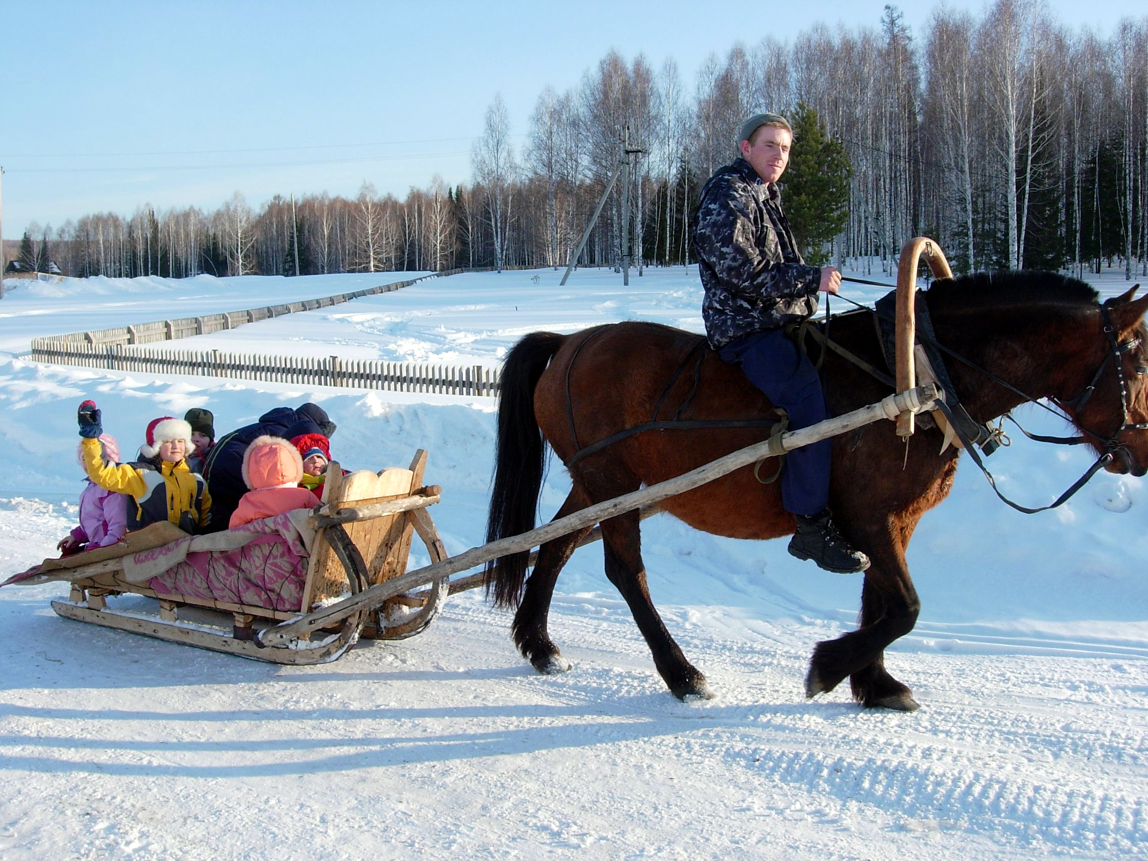 Фото Зелёный дом