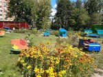 Detsky sad № 8 Nezabudka (Shchyolkovo-3 Microdistrict, Institutskaya ulitsa, 30), kindergarten, nursery