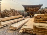 Doskamoll (selo Mishutino, 143), lumber