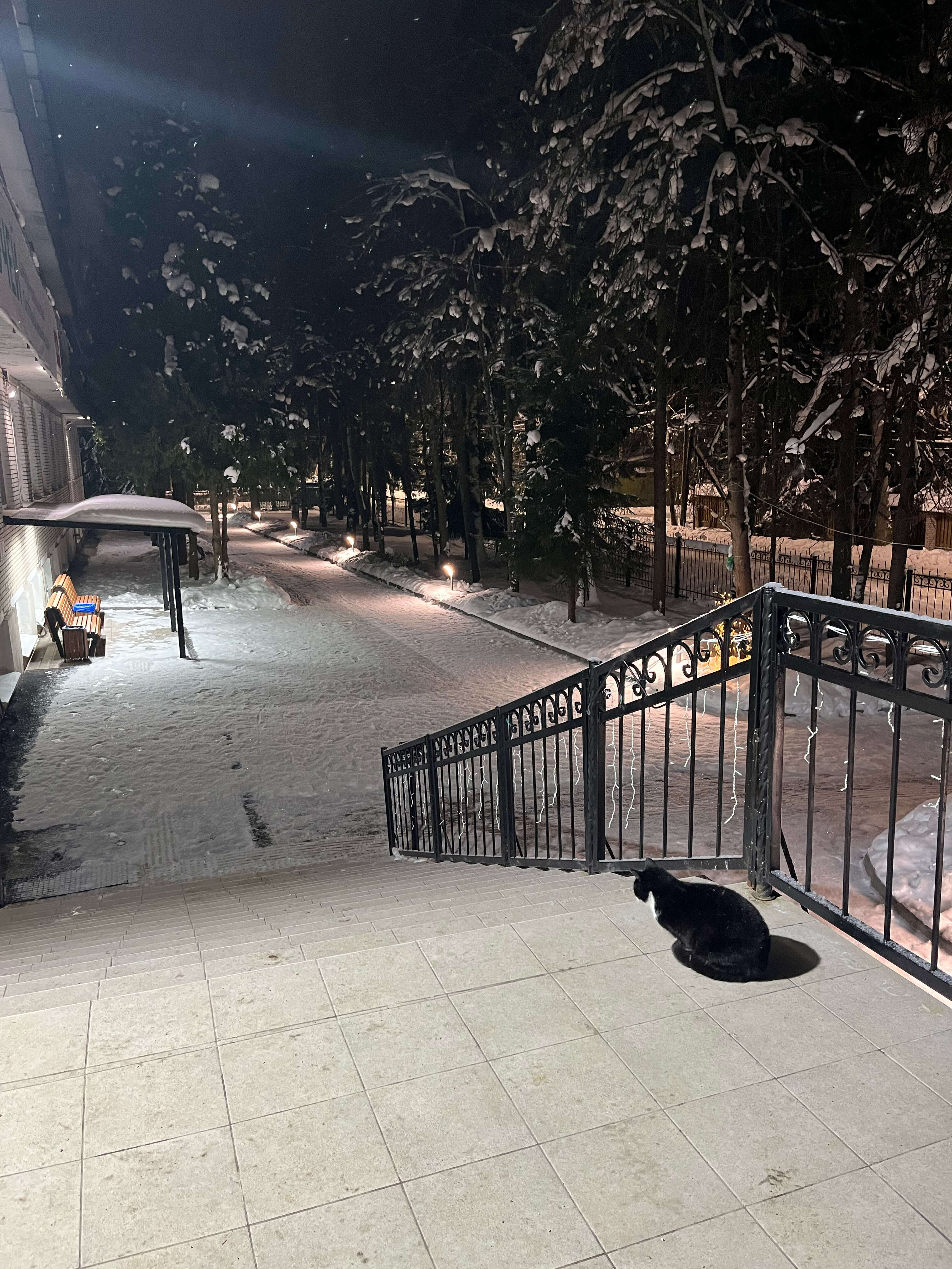 Фото Мельничный Ручей