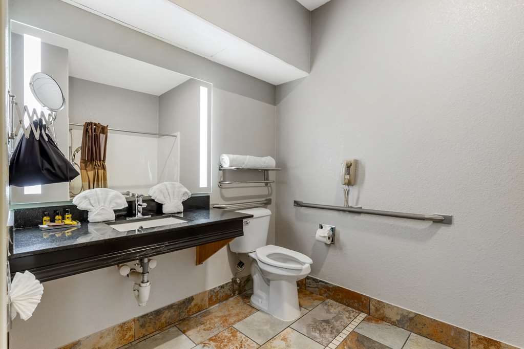 Фото Best Western Plus Des Moines West Inn & Suites