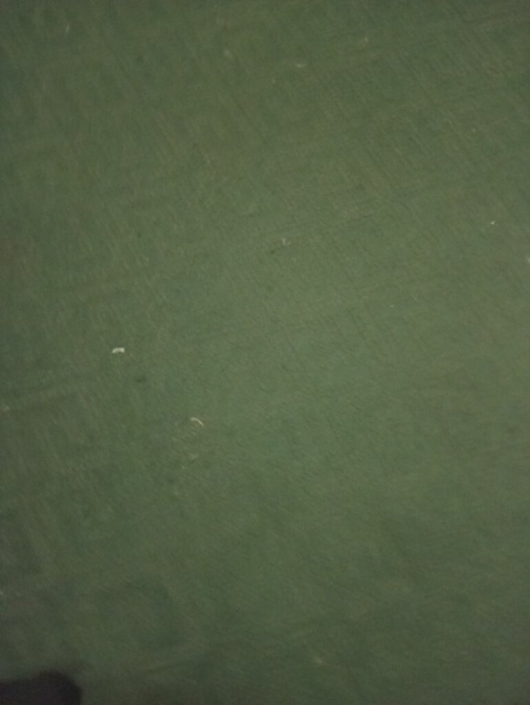 Cafe Asl Taomlar, Tashkent, photo