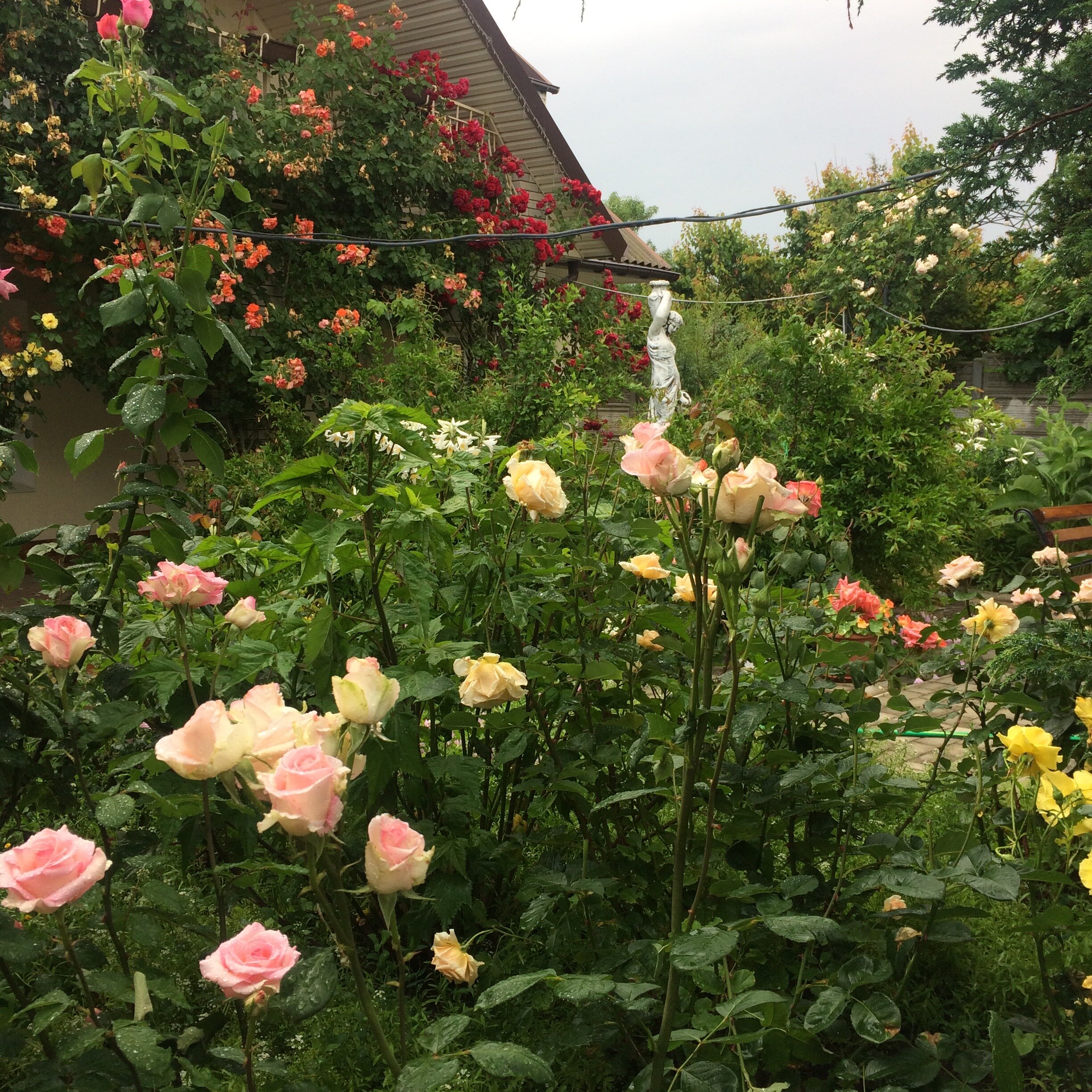 Фото Гостевой дом Прекрасная гавань