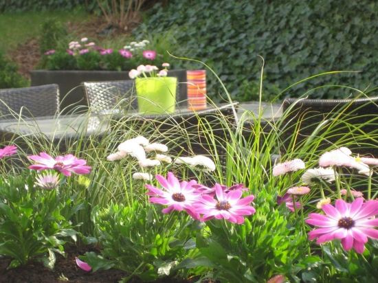 Фото Hotel Indigo - Dusseldorf - Victoriaplatz