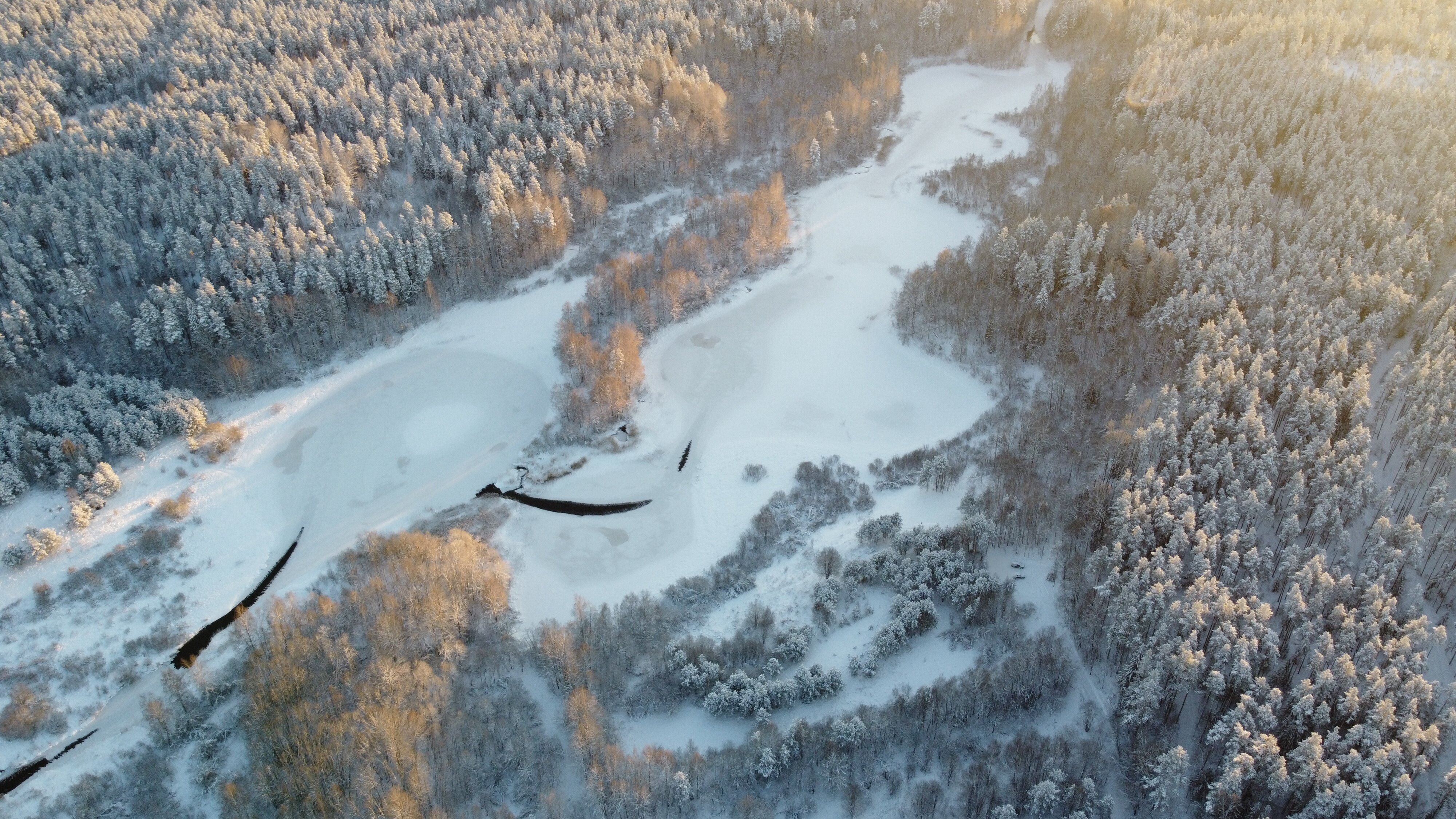 Фото Дом в лесу Холмово