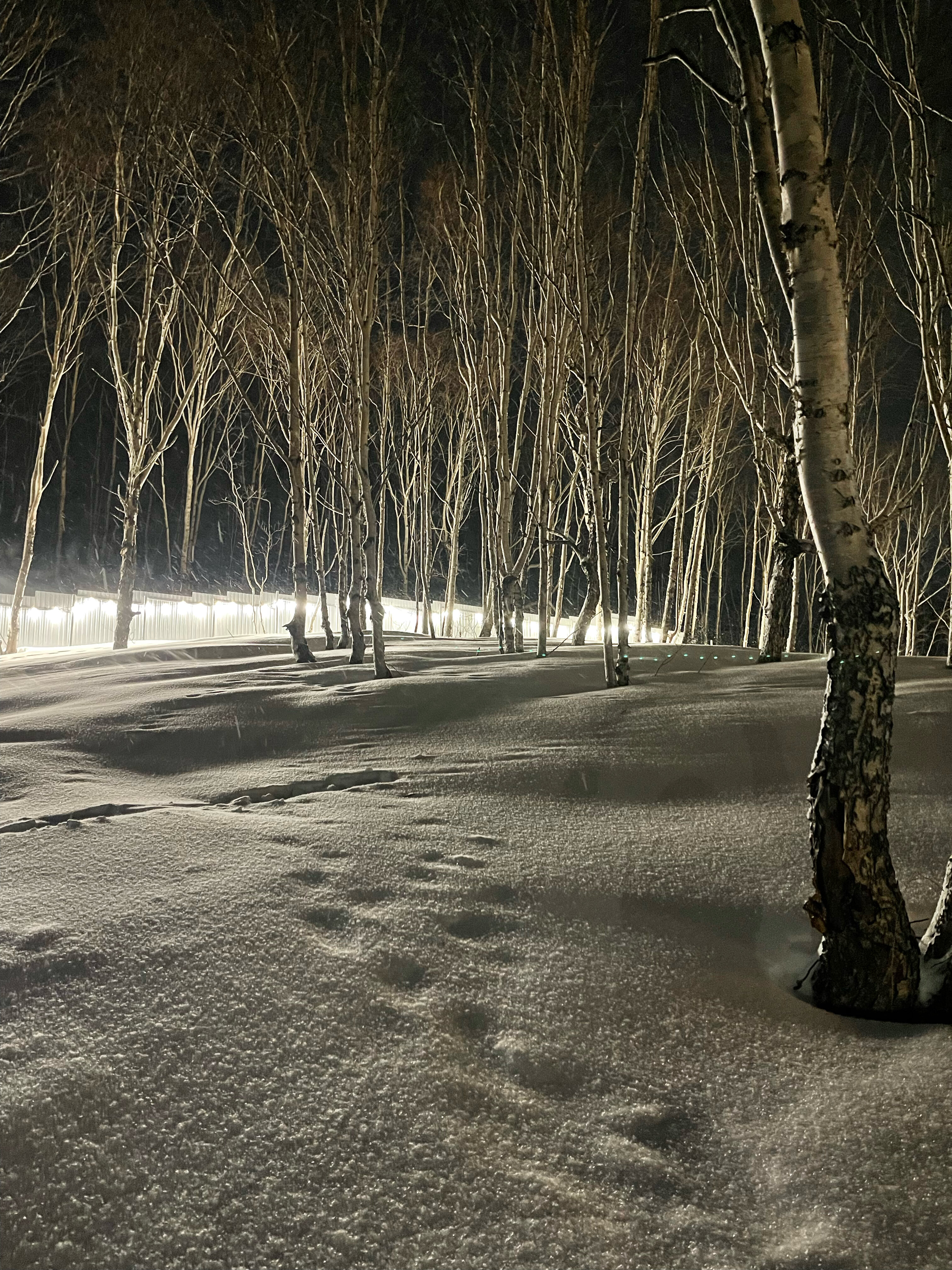 Фото Край родной