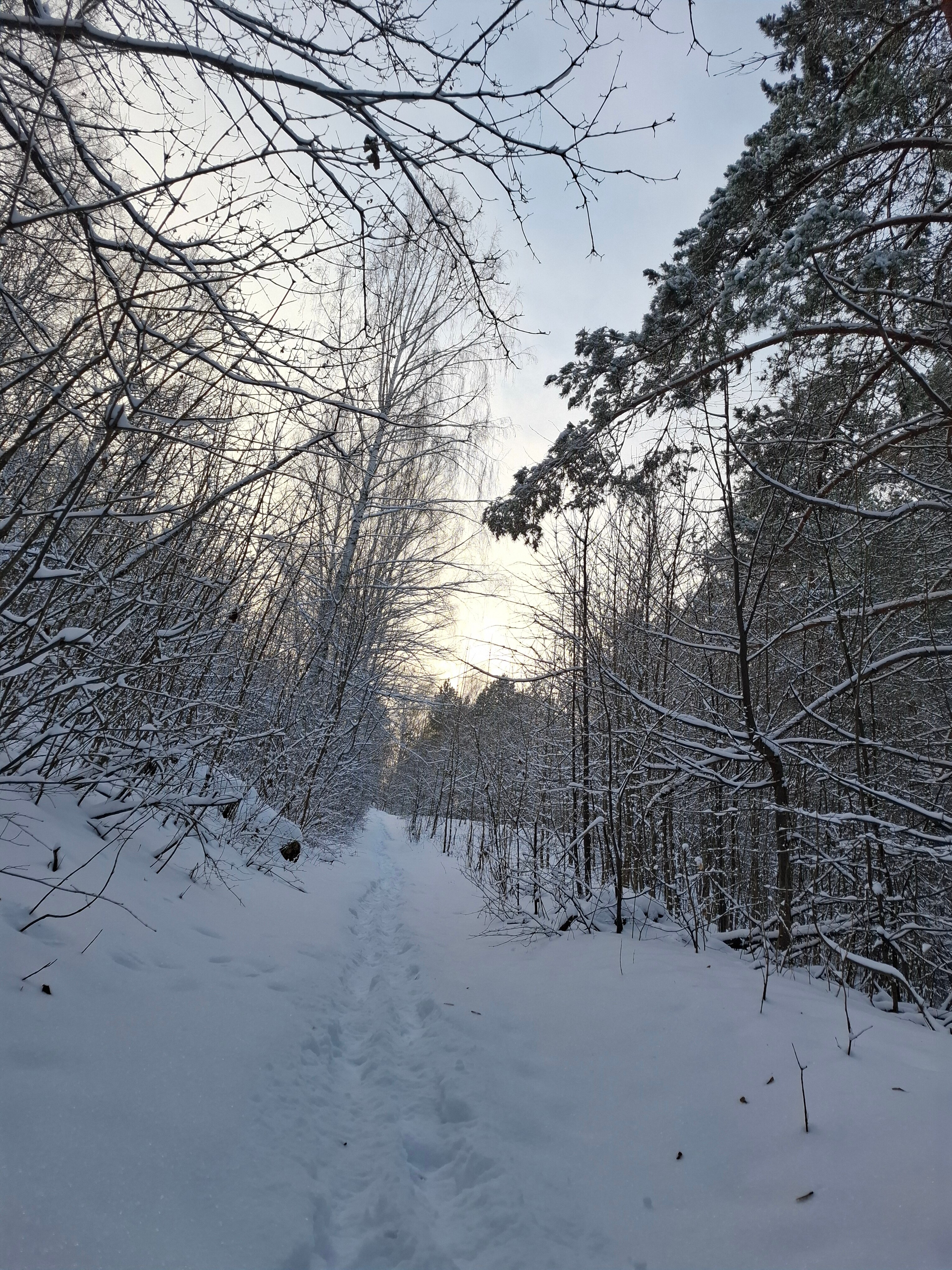 Фото Мечта