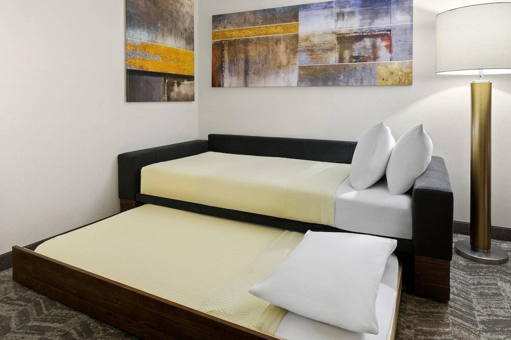 Фото Springhill Suites by Marriott Flagstaff