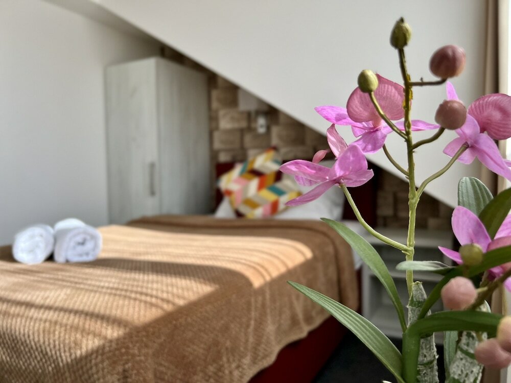 Фото Hotel Shato Gesson