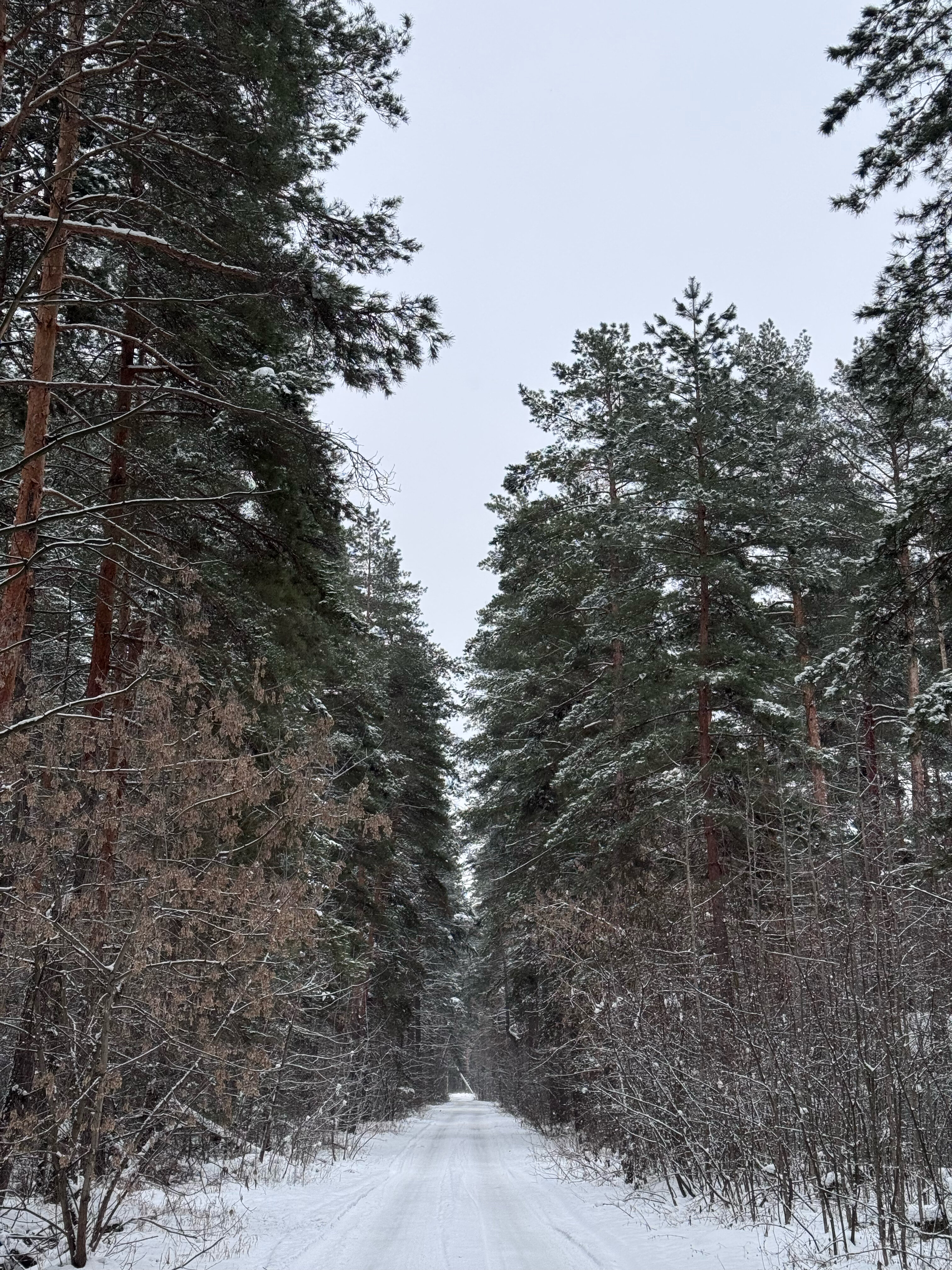 Фото Медвежий Угол
