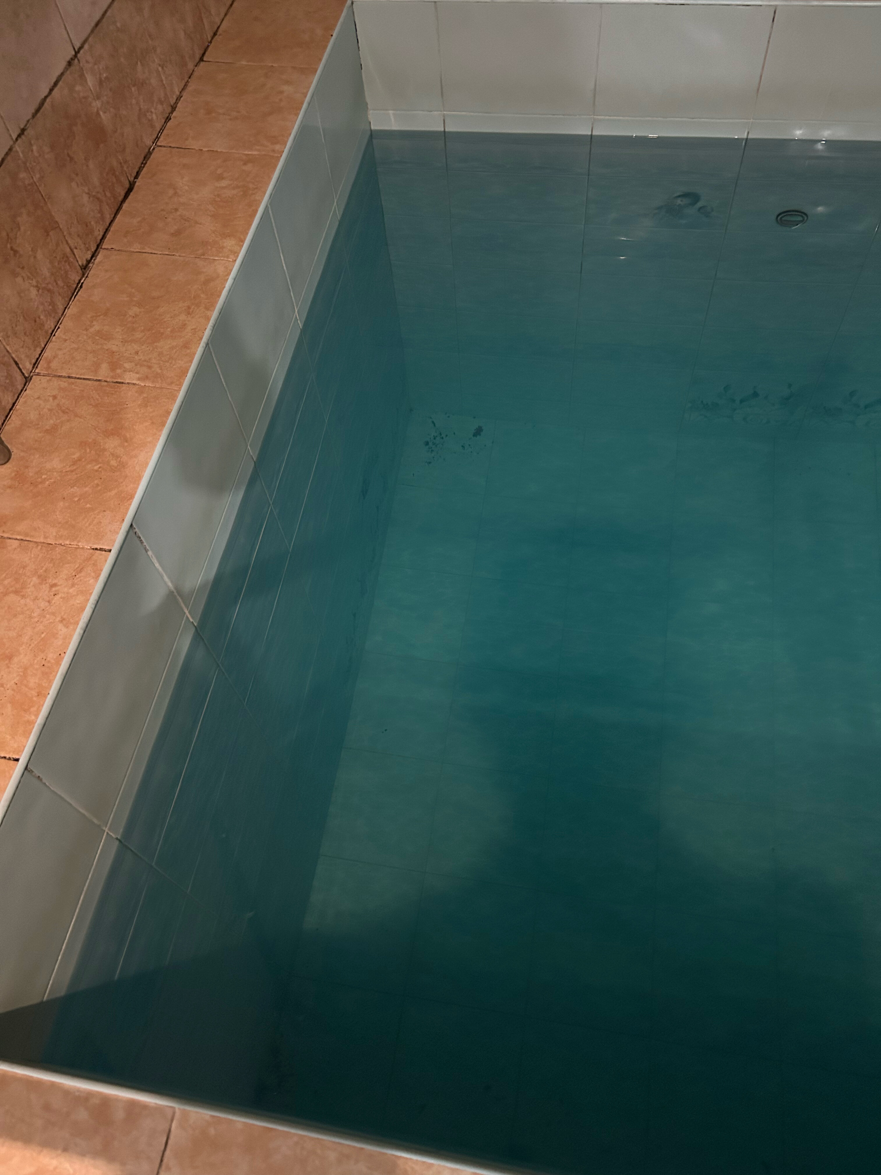 Фото Пальмы