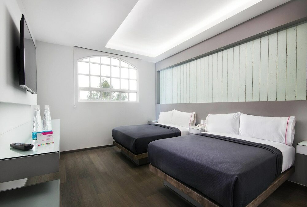 Фото Mx congreso