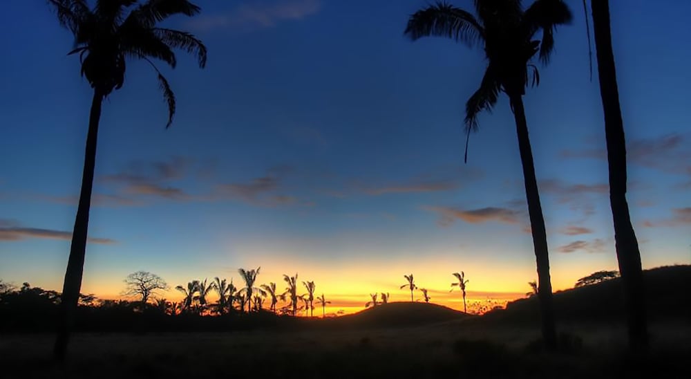 Фото Olas Verdes Hotel