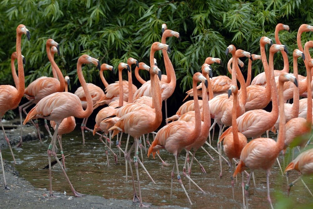 Фото Van der Valk Hotel Avifauna
