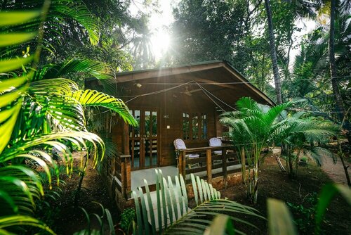 Гостиница Palm Forest Palolem в Канаконе