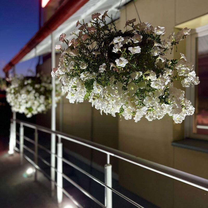 Фото Дискавери