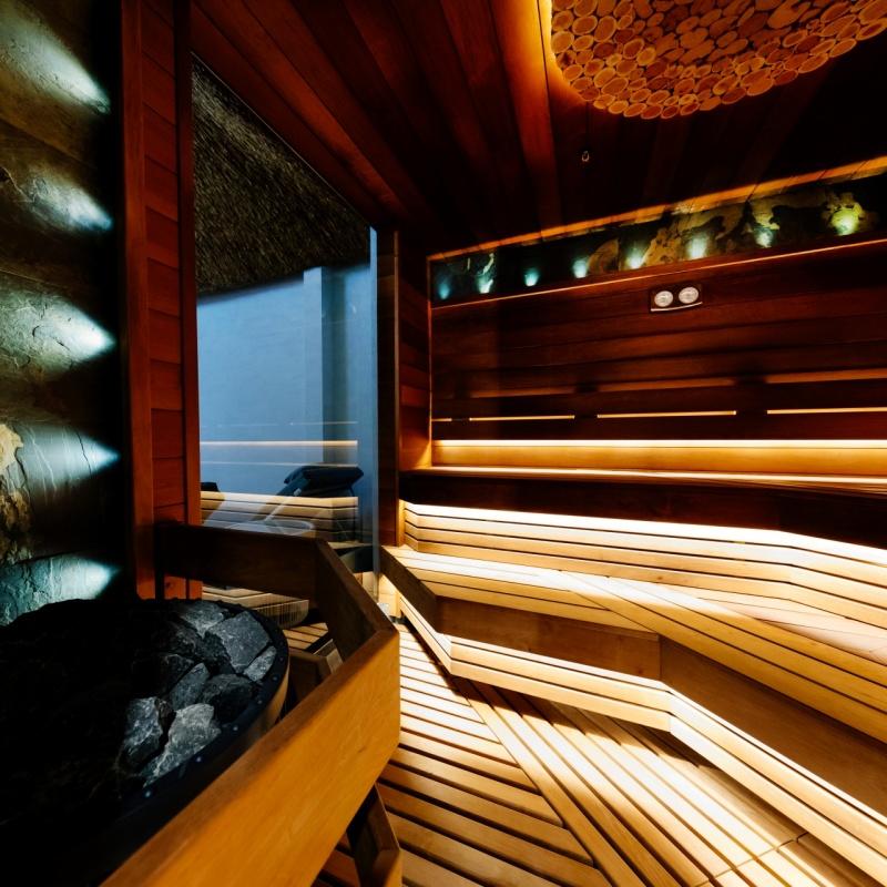 Фото Монарх