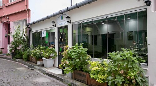 Blau Grün Istanbul Hotel