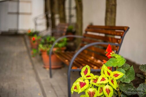 Гостиница Ringhotel Altstadt в Гюстрове