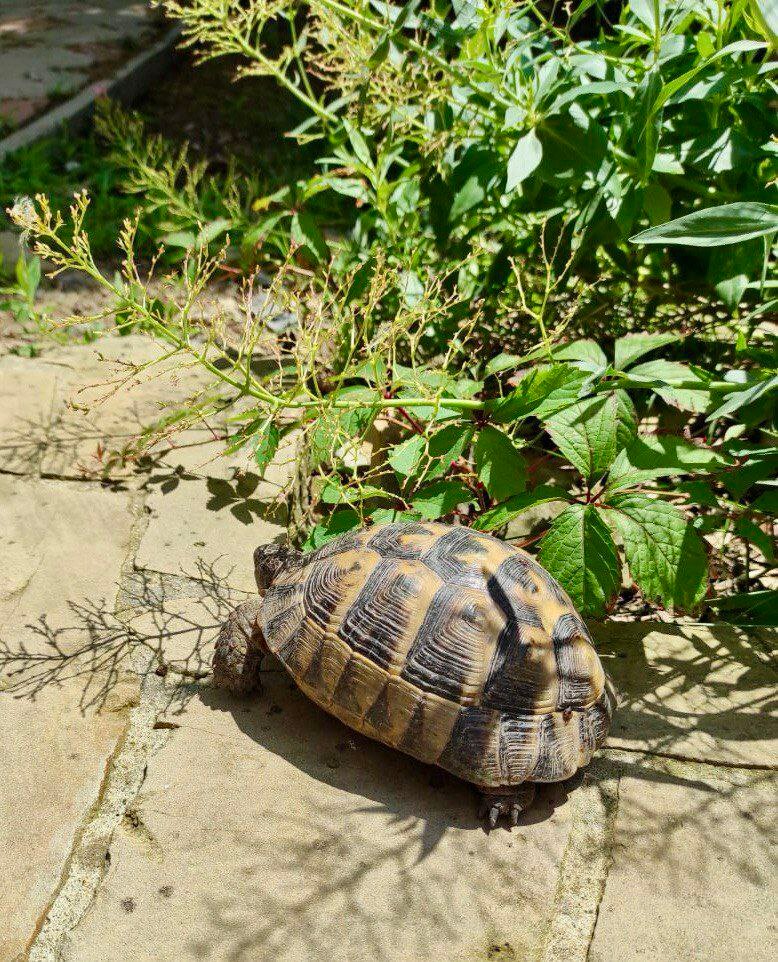 Фото Маша дома