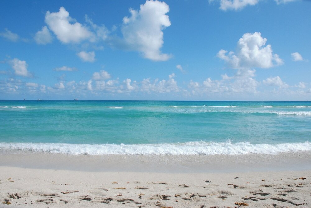 Фото Sandpiper Bay All-Inclusive, Trademark Collection by Wyndham