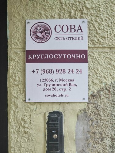 Сова — фото 2