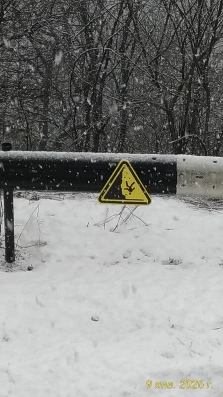 Мыхал Мыхалыч