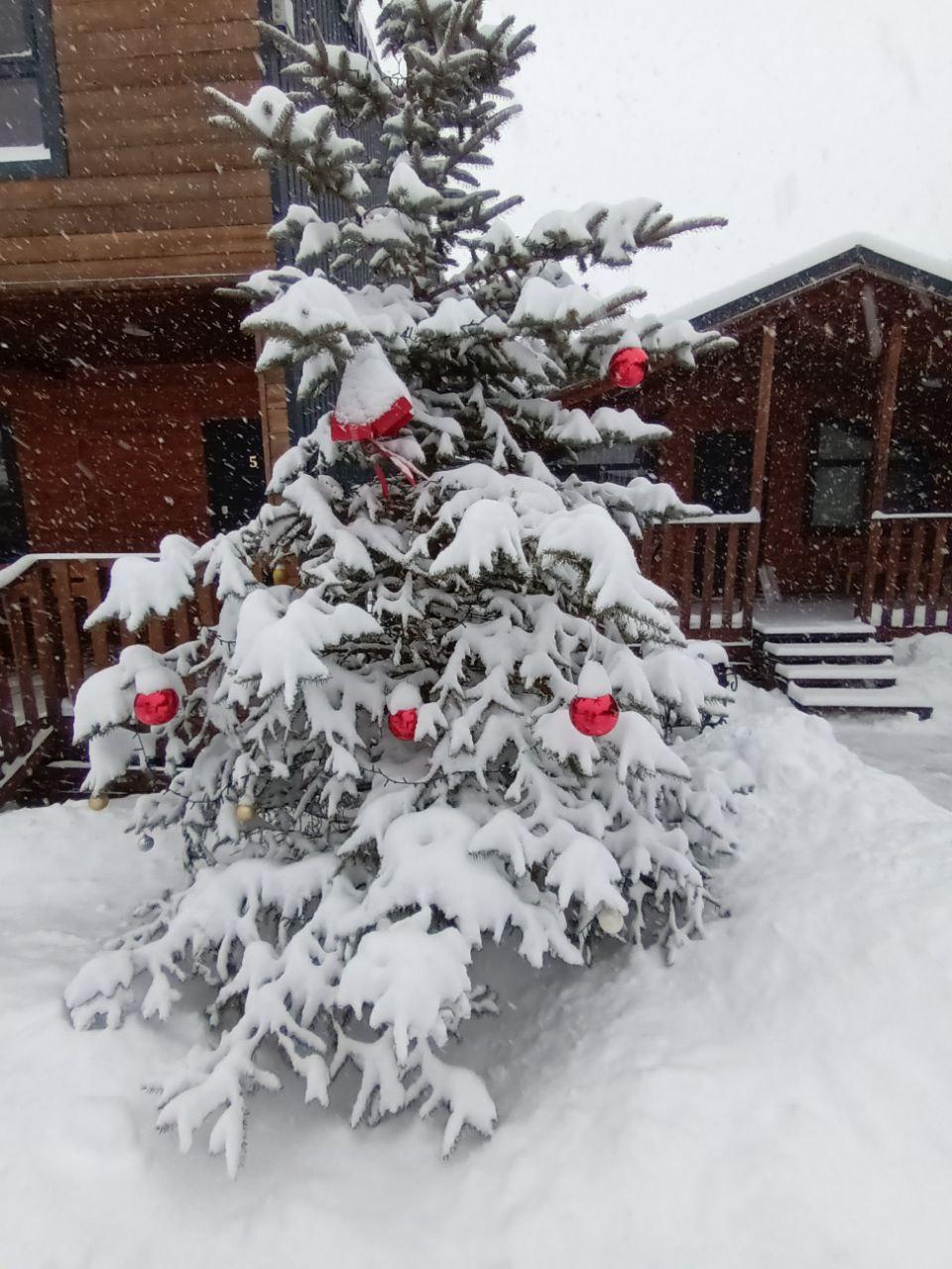 Фото Золото Архыза