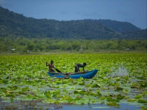 Гостиница Grand Tamarind Lake в Провинции Ува