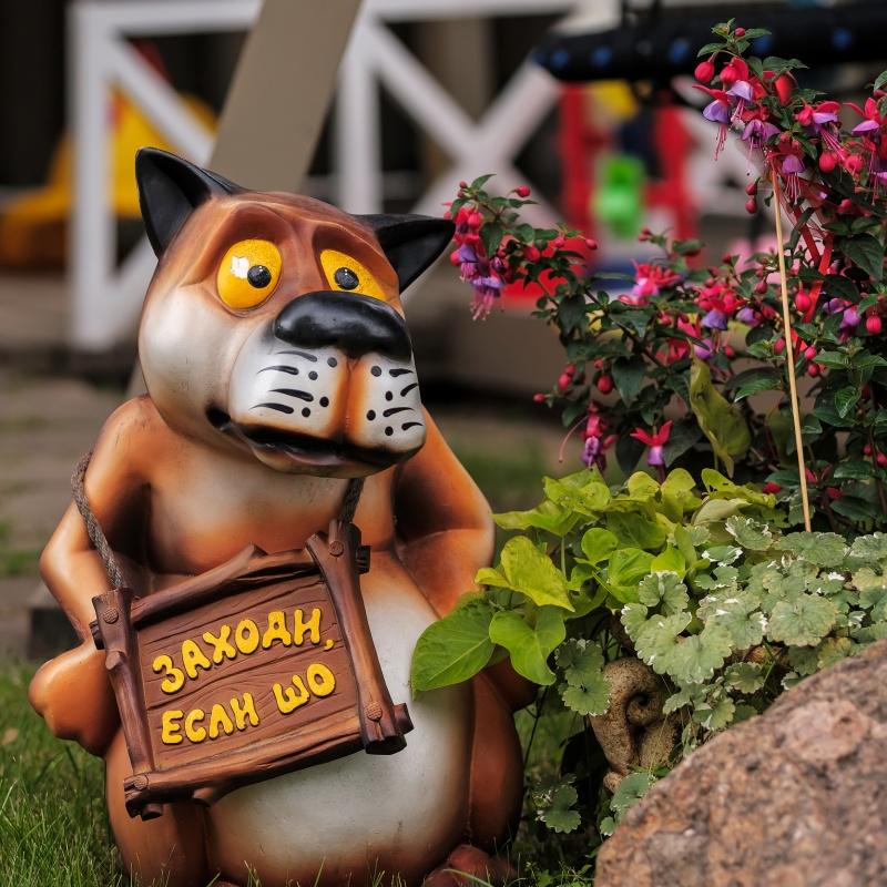 Фото Ближние Дубки