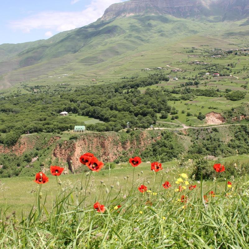 Фото Дубовая Роща