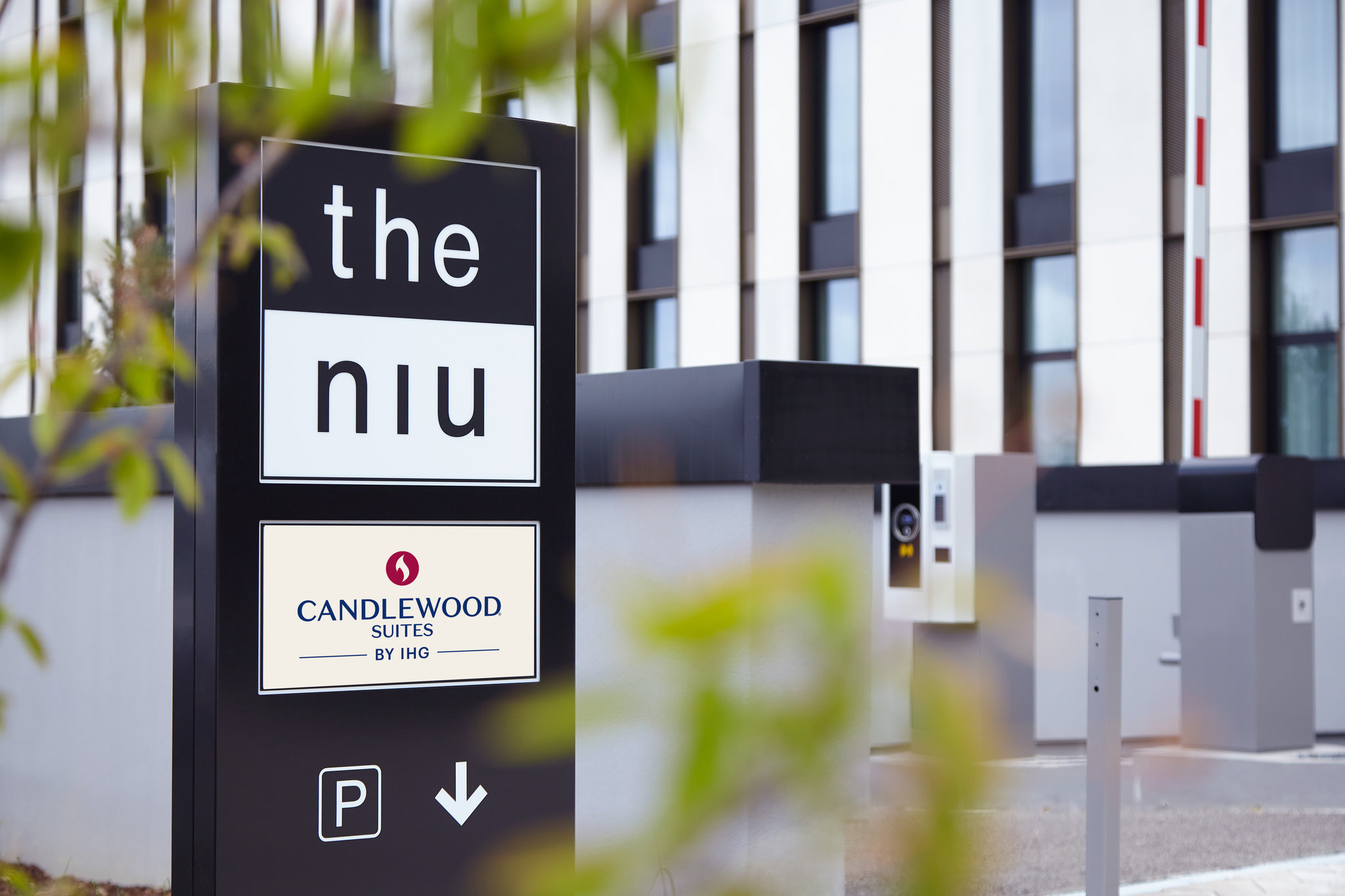 Фото The niu Hub