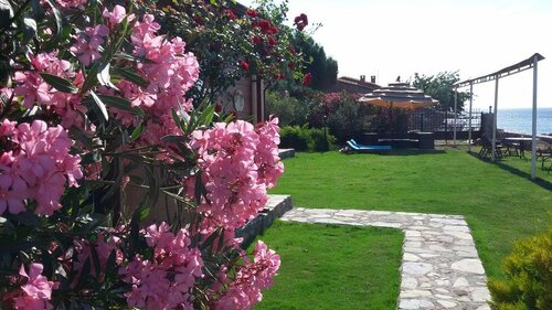 Гостиница Assos Yildiz Hotel в Айваджике