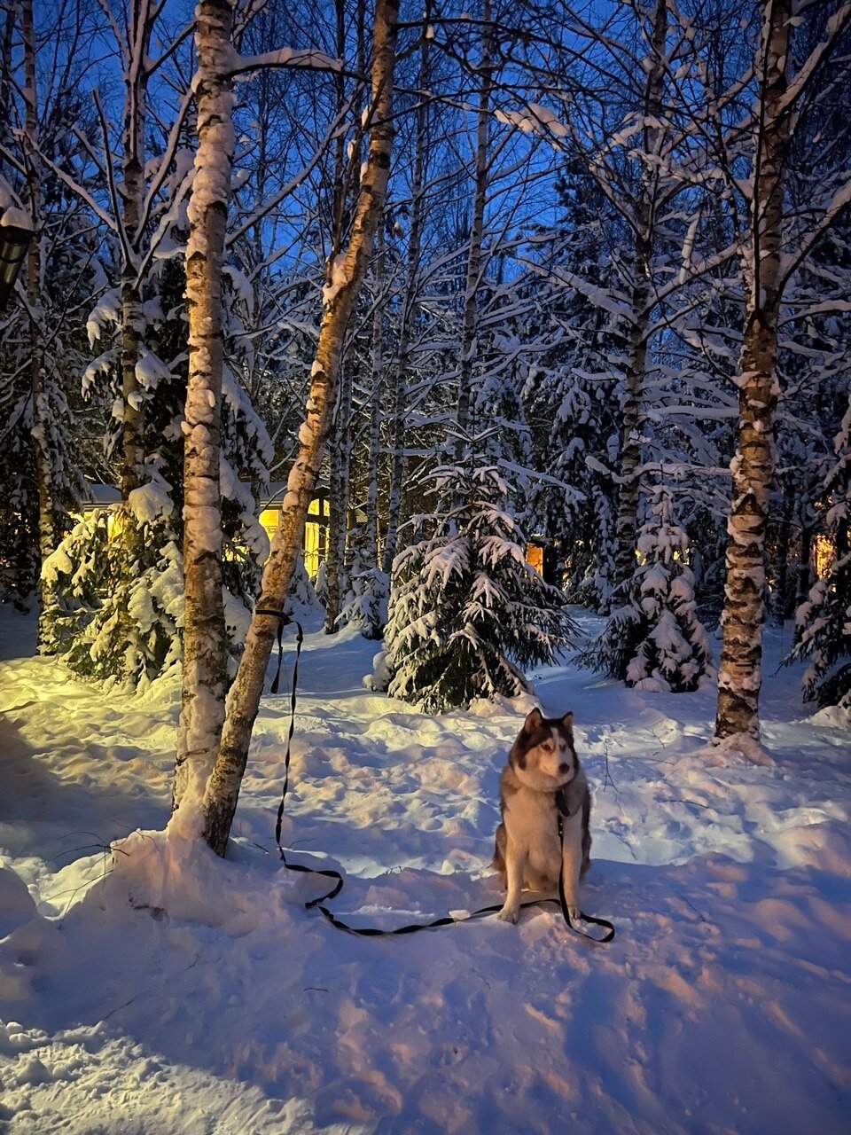 Фото Усадьба Добрынино