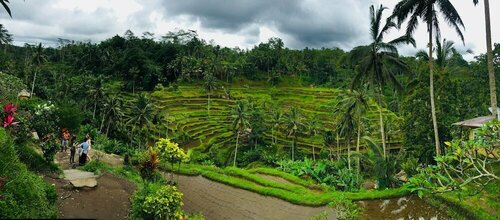 Внешний вид отеля Uma Padi Villa в Кедеватане, фото 3