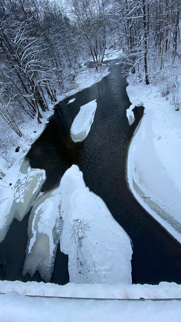 Фото Хутор Комаришки
