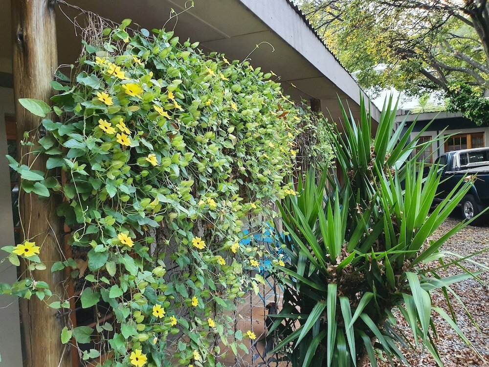 Фото 7th Street Guesthouse