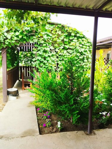 Гостевой дом Гостевой дом Leto в Таманском