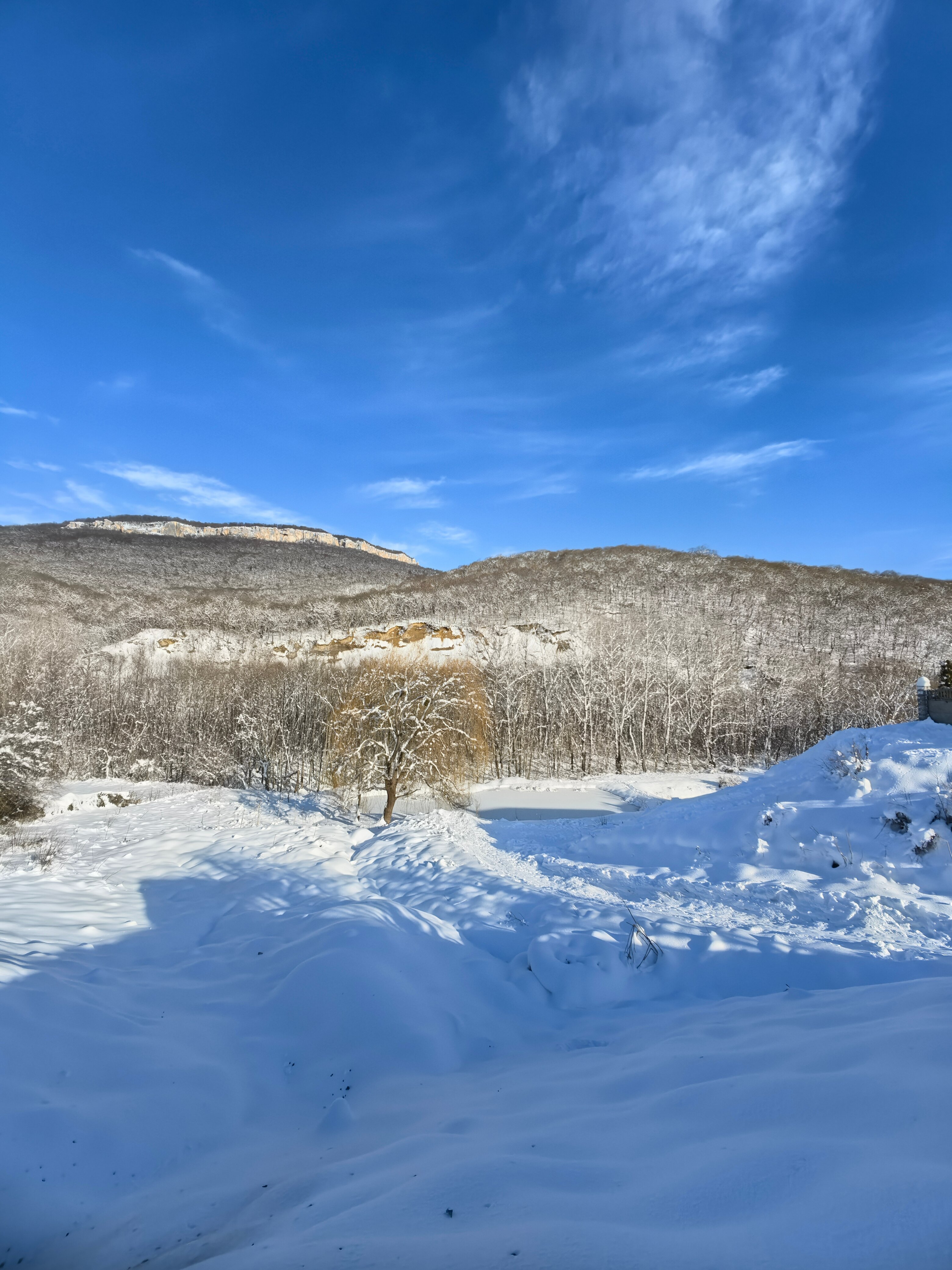 Фото Два Брата