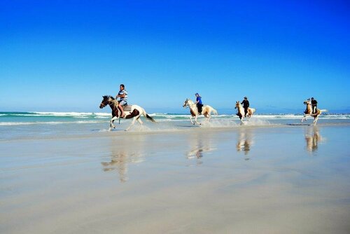 Внешний вид отеля Mermaid Guest House в Муниципалитете мысе Агульясе, фото 5