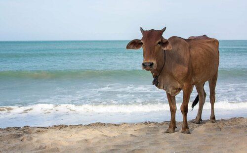 Внешний вид отеля The Spice Trail в Аругам-Бее, фото 3