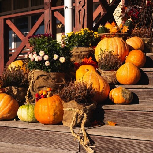 Гостиница Медвежья Гора во Владимирской области